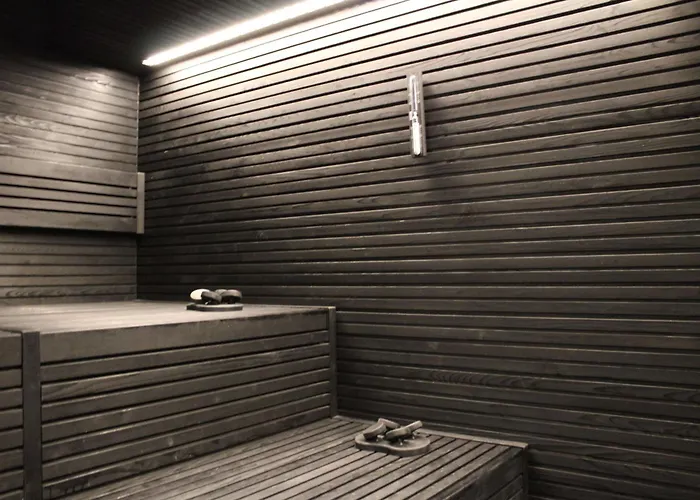 酒店 Dorint & Locarno-riazzino 4*